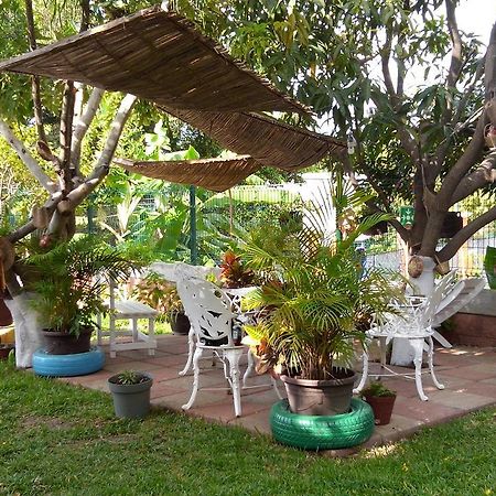 Real Del Ambar Hotel Tuxtla Gutiérrez Exterior foto